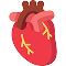 Heart Test